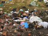 Góra. Szokujące odkrycie w Osetnie. Na skraju wsi powstało nielegalne wysypisko śmieci. Są tam nie tylko odpady z gospodarstwa domowego [ZDJ