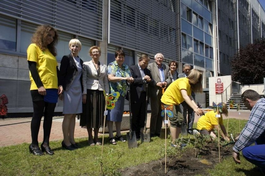 Krzewy budlei posadzili zaproszeni przez wicewojewodę...