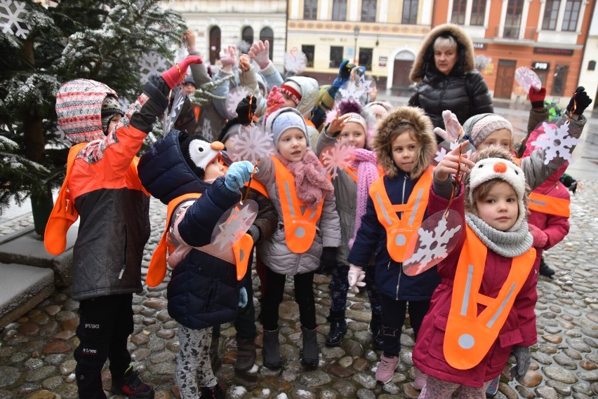 Inwazja przedszkolaków na Rynku w Tarnowie. Swoimi ozdobami przystroiły żywe choinki obok ratusza [ZDJĘCIA]