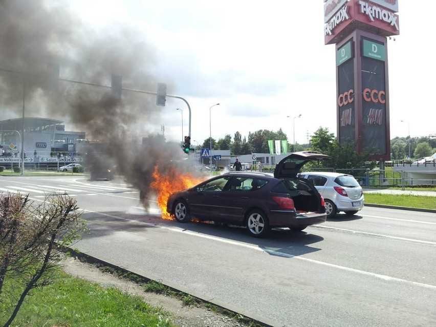 Zdjęcia opublikowane za zgodą firmy Akra II, która świadczy...