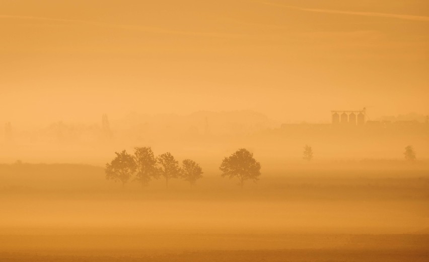 Fotograficzny Talent Roku. GALERIA ZDJĘĆ Szymona Kokocińskiego z Ożarowa