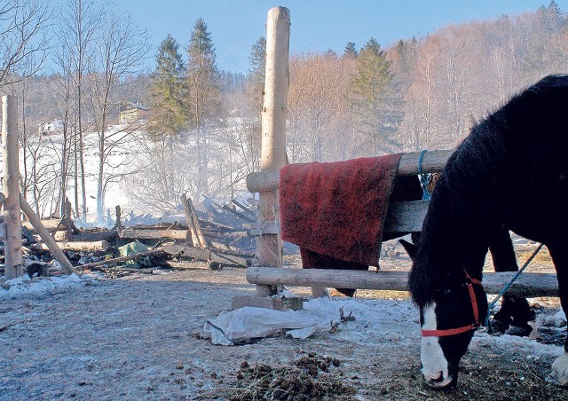 W Szczyrku ogień strawił stajnię, 7 koni udało się uratować