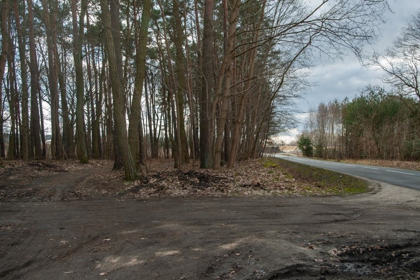 Trwa również budowa ścieżki rowerowej wzdłuż drogi...