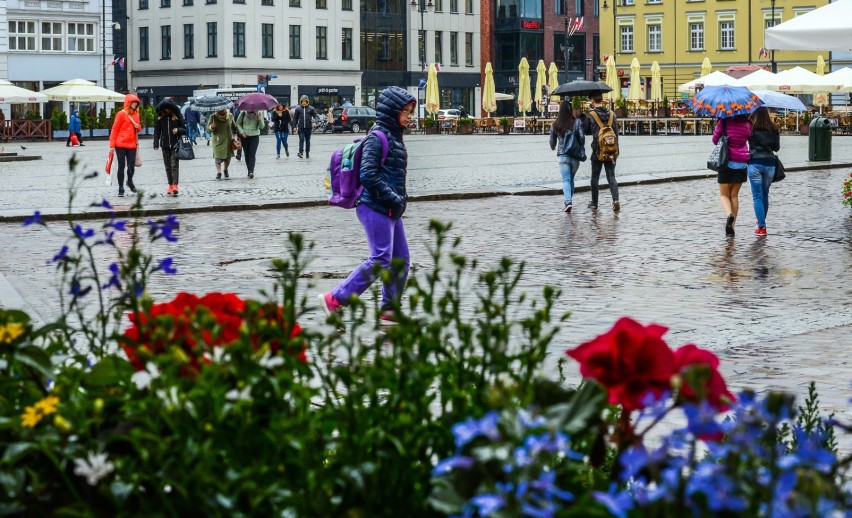 Wiosna nie rozpieszcza bydgoszczan. Jest zimno i mokro [zdjęcia]