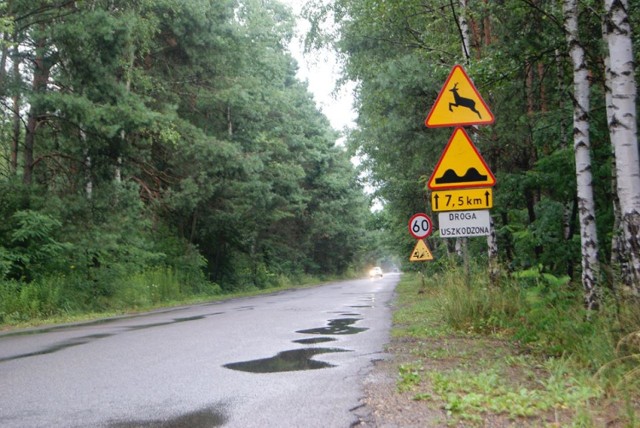 W środę ulicą Bukowską przejadą kolarze w ramach tegorocznego Tour de Pologne