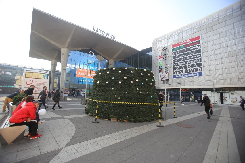 Katowice: stawiają choinkę na placu Szewczyka ZDJĘCIA