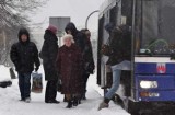 Gapowicze w autobusach i tramwajach