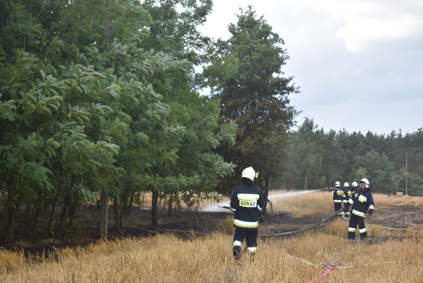 Strażacy znów mają ręce pełne roboty. Kolejne pożary w gminach: Chocz i Pleszew. Tym razem w Kowalewie i Nowolipsku