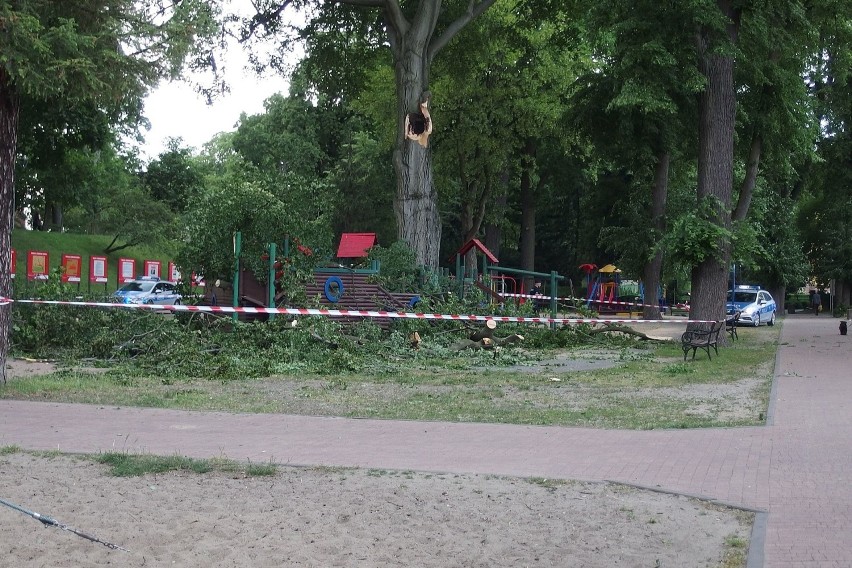 Stargard. Na plac zabaw w parku Chrobrego spadło drzewo [ZDJĘCIA]