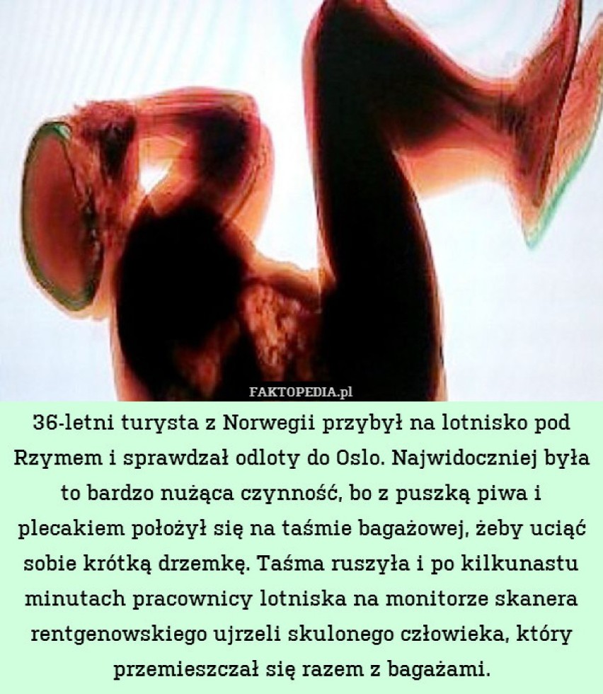 Rozrywka w naszym mieście - zobacz więcej