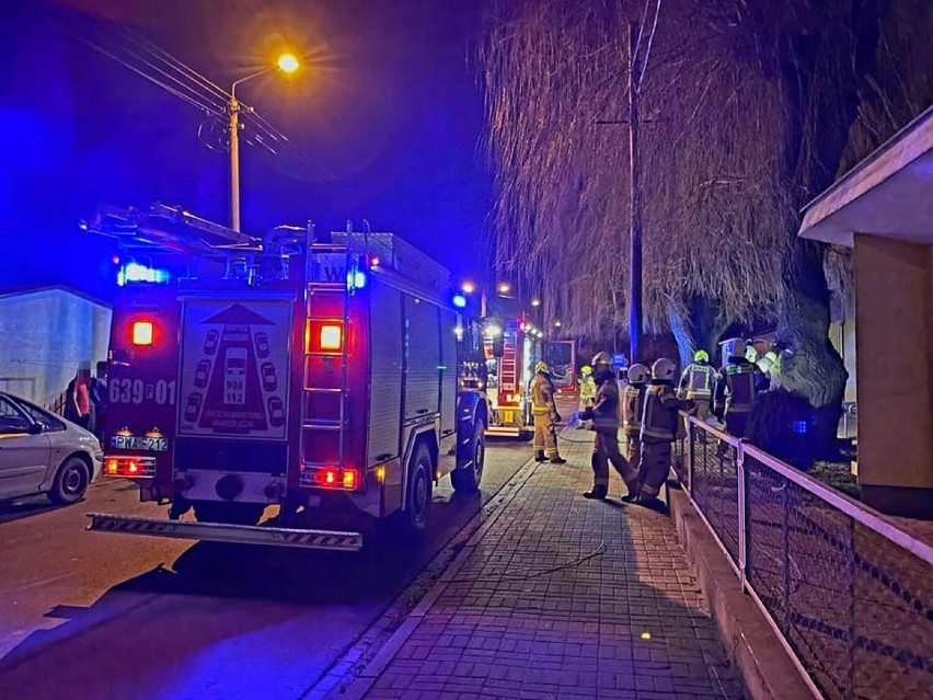 Pożar drzewa w Damasławku. Interweniowała straż pożarna.