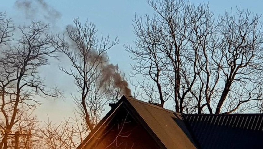 Nowy Sącz. Polski Alarm Smogowy alarmuje o kryzysie wymiany pieców węglowych w naszym mieście