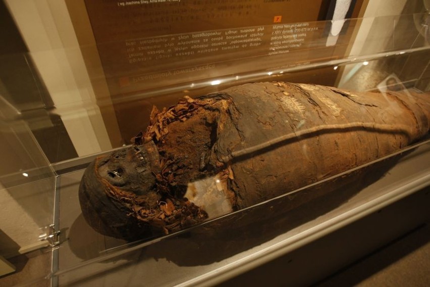 Wrocław: Mumie w Muzeum Człowieka (ZDJĘCIA)