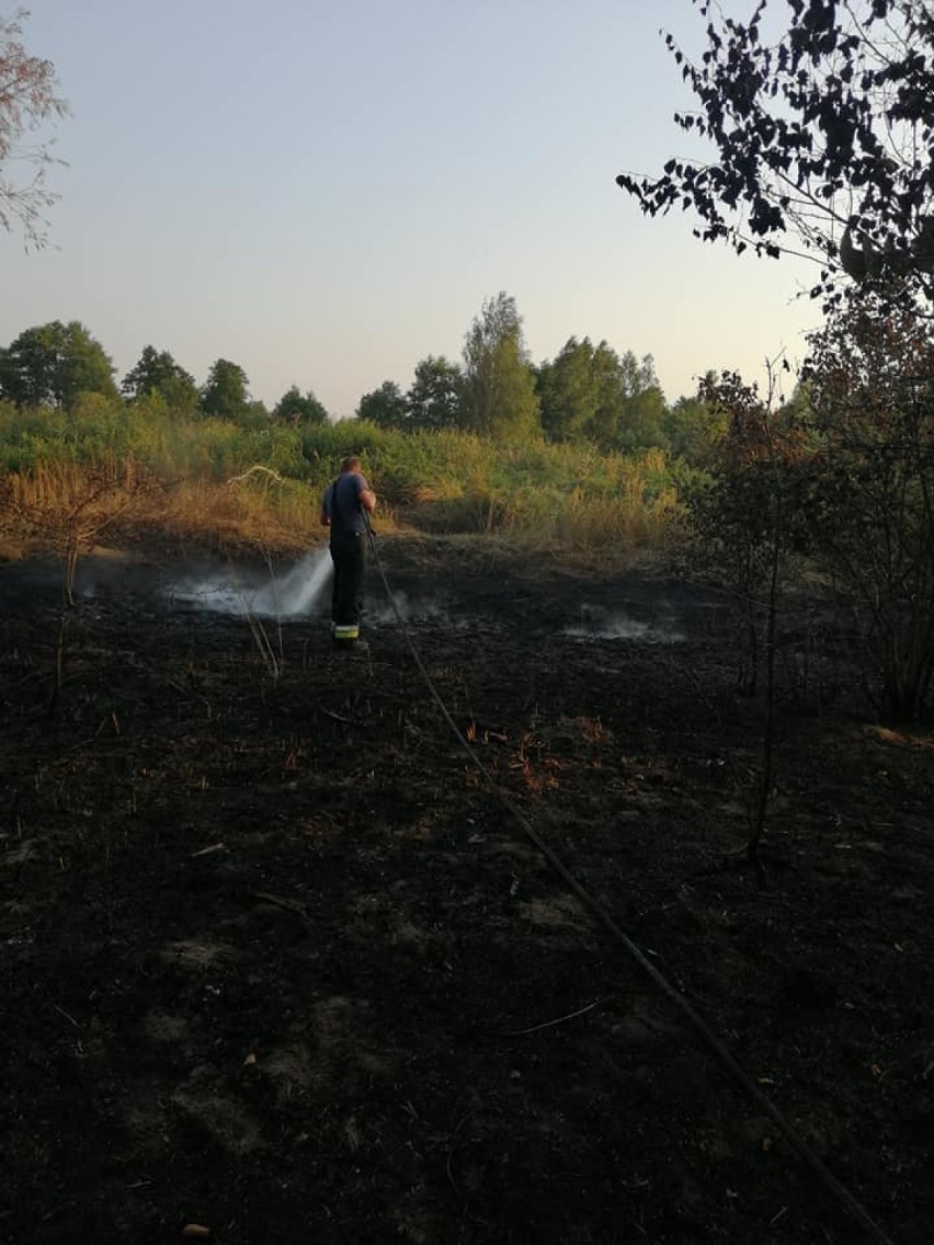 Pożar w Strońsku. Płonęły nieużytki na starorzeczu ZDJĘCIA                             