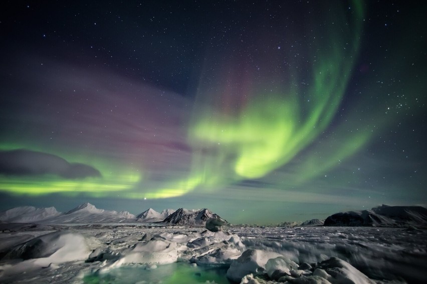 Archipelag Svalbard znany jest także z występowania...