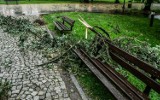 Ostrzeżenie przed wichurami w Bydgoszczy i regionie. W piątek nadal silne porywy wiatru!