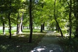 13 miejsc idealnych na spacer w Warszawie. Oto najpiękniejsze parki w stolicy. Tam odpoczniesz od miejskiego hałasu