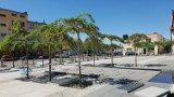 Remont rynku w Ujeździe. Centrum miasta mocno się zazieleniło - gmina zasadziła 100 drzew