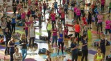 Festiwal Fitness na Arenie Ursynów [program]