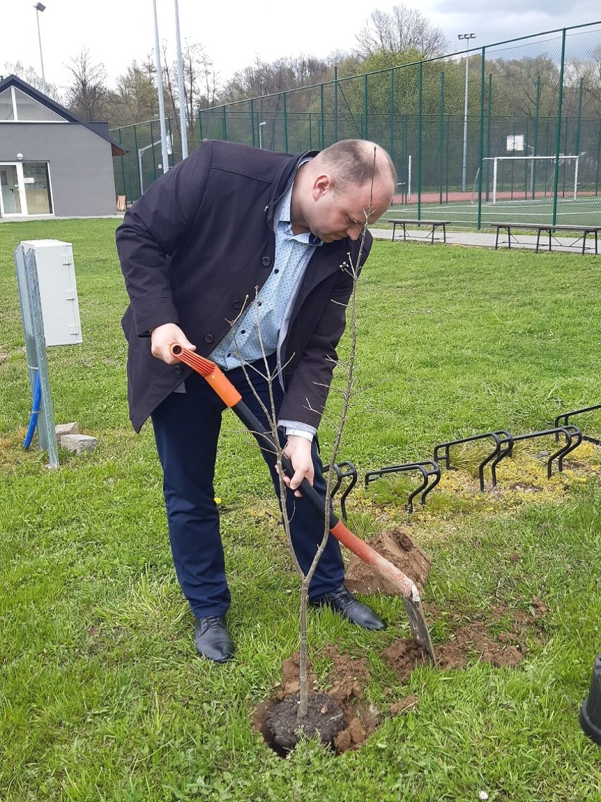 Powiat bocheński dołączył do akcji #drzewodlaklimatu