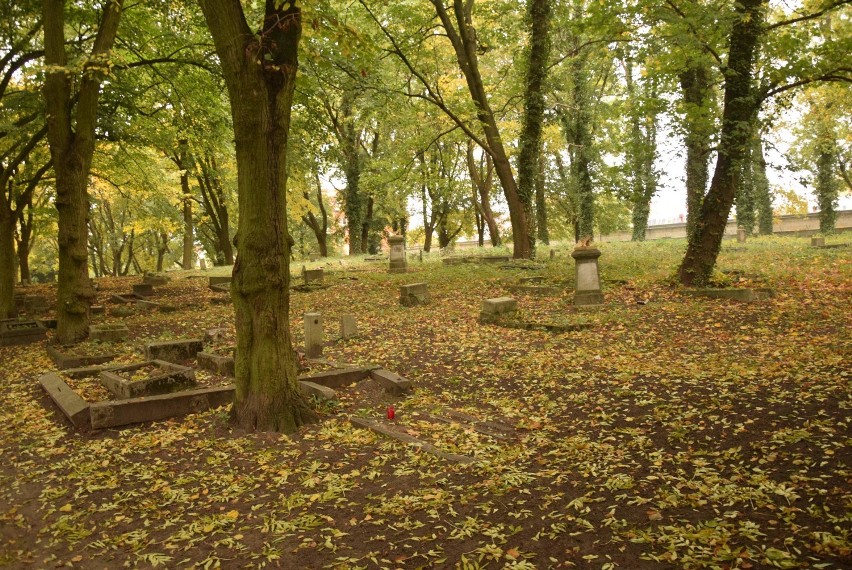 Malbork. Stary cmentarz przy ul. Jagiellońskiej. Historie mieszkańców wypisane na nagrobkach. Zobacz, kto tu spoczął