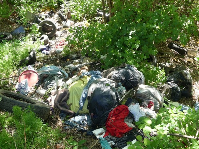 Ktoś wyrzuciła do lasu śmieci, które powinny trafić do odpadów segregowanych.