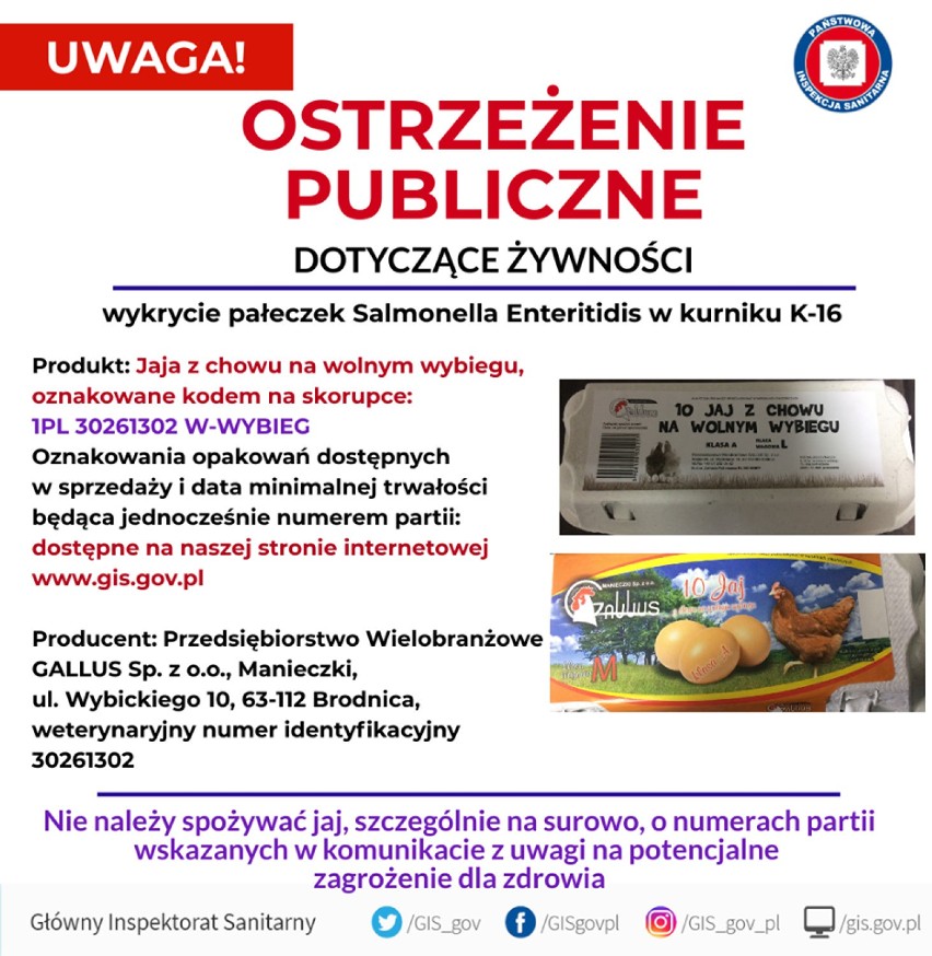 Jajka z wolnego wybiegu z bakteriami Salmonelli! Jest ostrzeżenie GIS