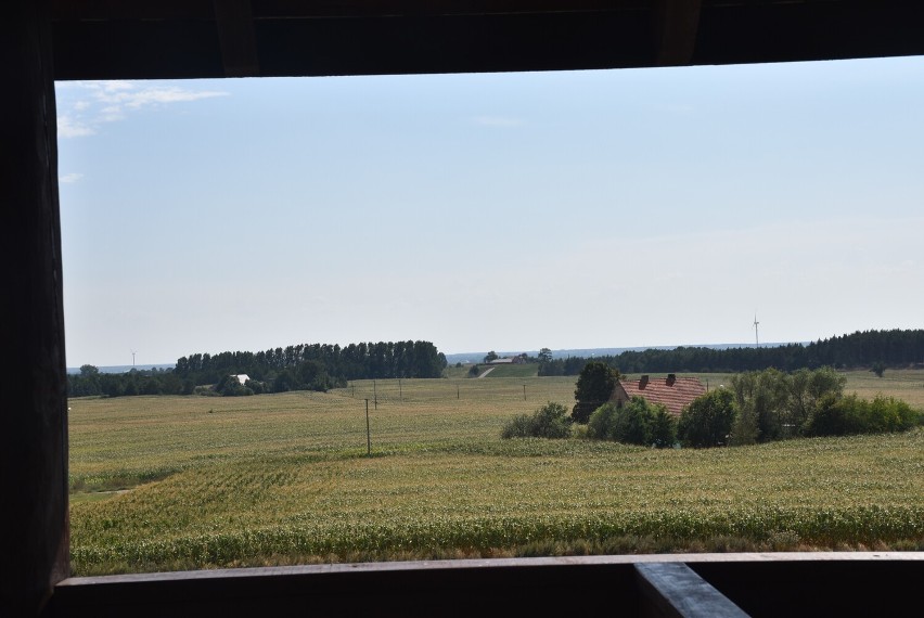 Powiat gnieźnieński. Letni krajobraz uchwycony z punktu widokowego w Dusznie. Powiat jest piękny! [FOTO]