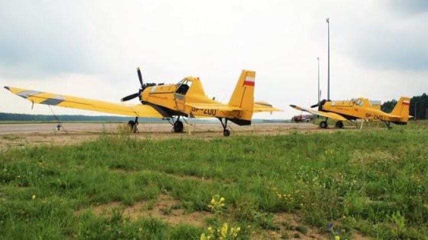 Pilot patrolowej Cessny zauważył pożar lasu w Nadleśnictwie Myszyniec [ZDJĘCIA]