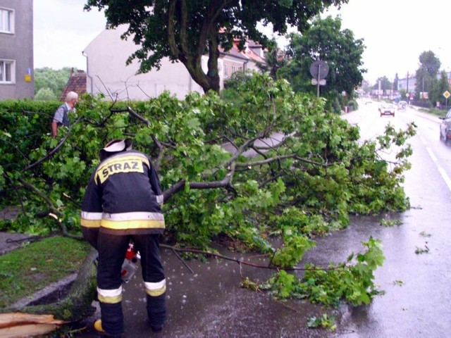 Powódź 2014. Strażacy z powiecie cieszyńskim usuwają skutki silnych porywów wiatru, połamane drzewa