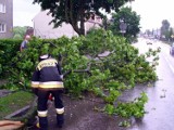 Powódź 2014: Strażacy usuwają połamane drzewa