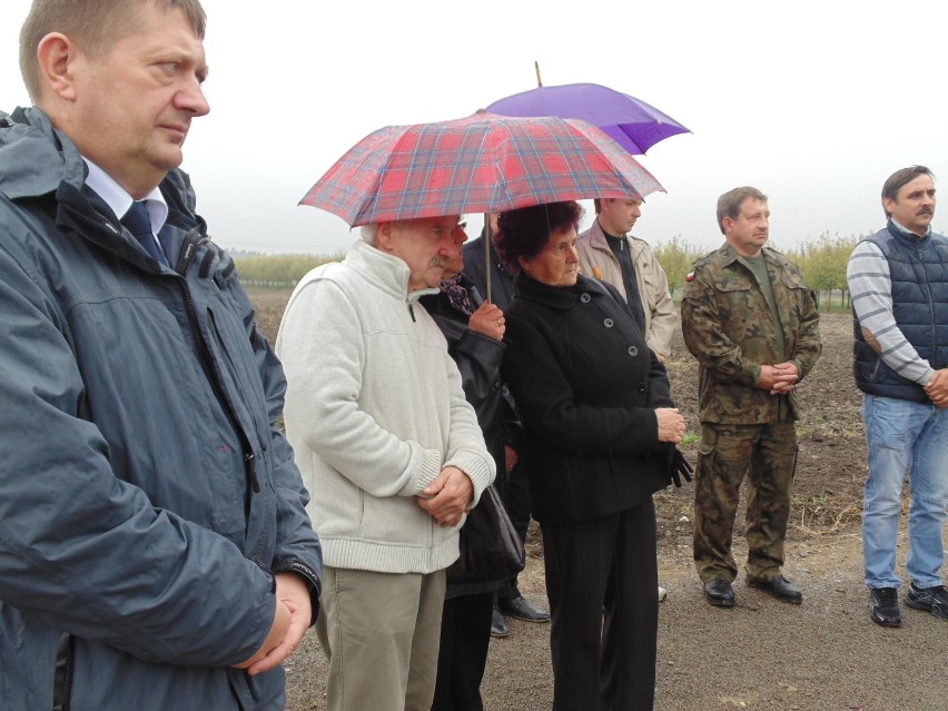 W Elżbiecie archeolodzy odkryli 1650 mogił