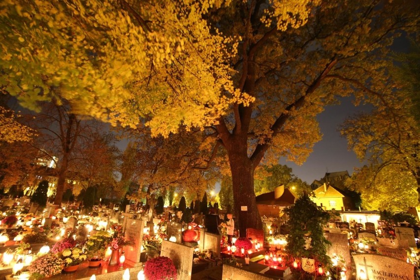 Nocą cmentarze wyglądają pięknie.