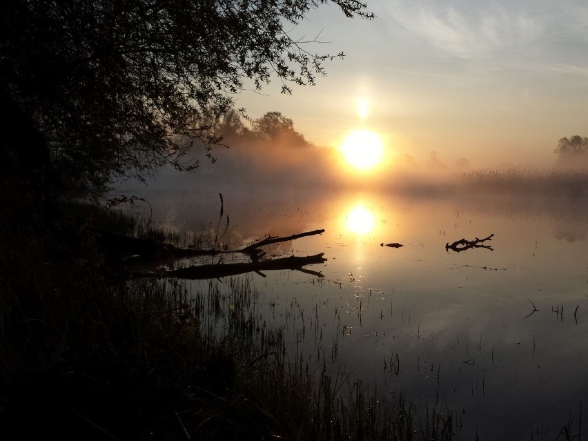 Wschód słońca nad Odrą