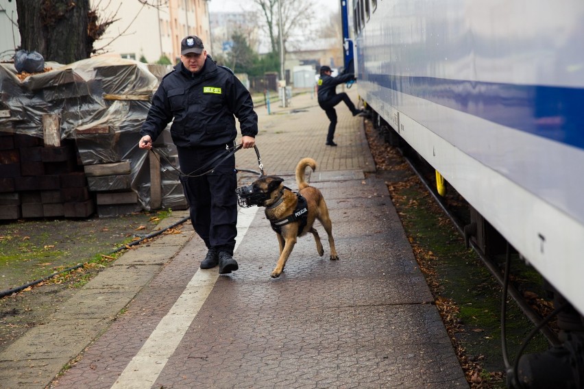 Psy w akcji na dworcu PKP w Białymstoku [ZDJĘCIA, VIDEO]