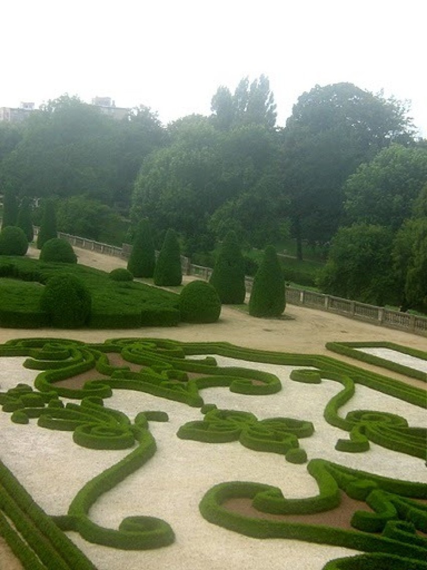 Ogród Branickich (lato 2009)