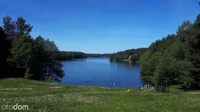 Lokalizacja: Sitno, pow. kartuski
Cena: 580 000 zł
Powierzchnia: 2 960 m²
Typ: budowlana


Szczegóły oferty: SPRAWDŻ NA OTODOM.PL