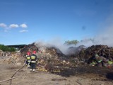 Pożar na składowisku odpadów w Gilwie Małej. W akcji udział brało prawie 40 strażaków [ZDJĘCIA]