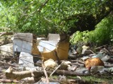 Rzeka Bytowa śmieciami odstrasza kajakarzy