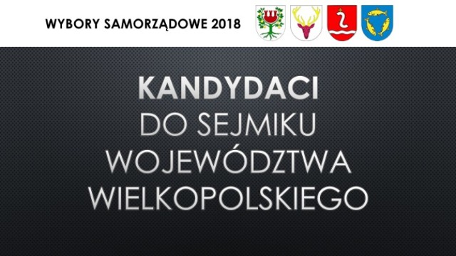 Wybory Samorządowe 2018: Poznajcie kandydatów z powiatu międzychodzkiego do Sejmiku Województwa Wielkopolskiego