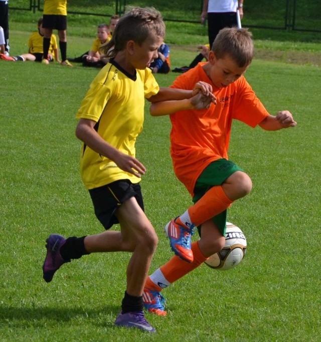 Ubiegłoroczny Organika Cup 2012