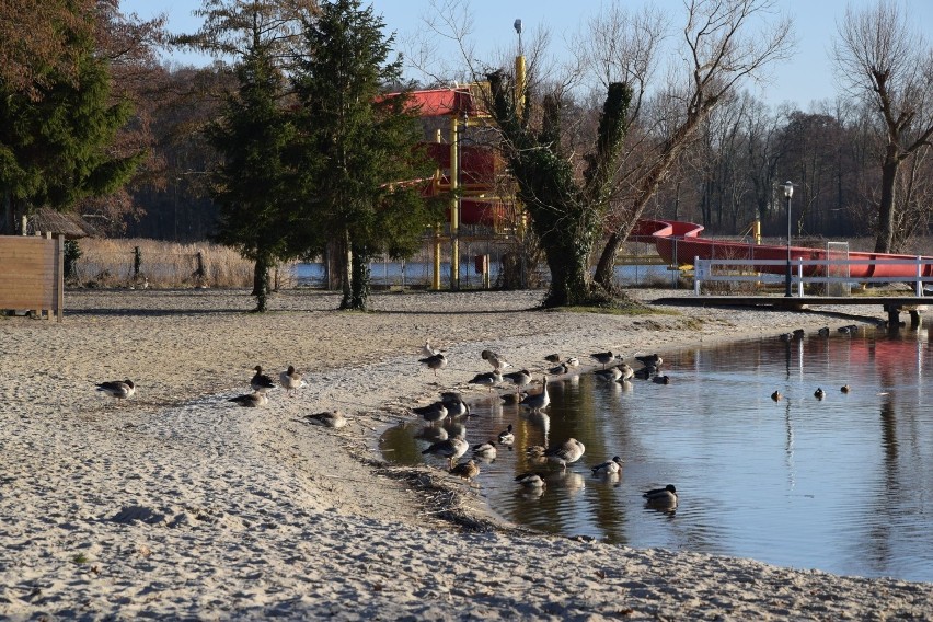 Jezioro Sławskie w Sławie, piątkowe popołudnie w lutym 2019...