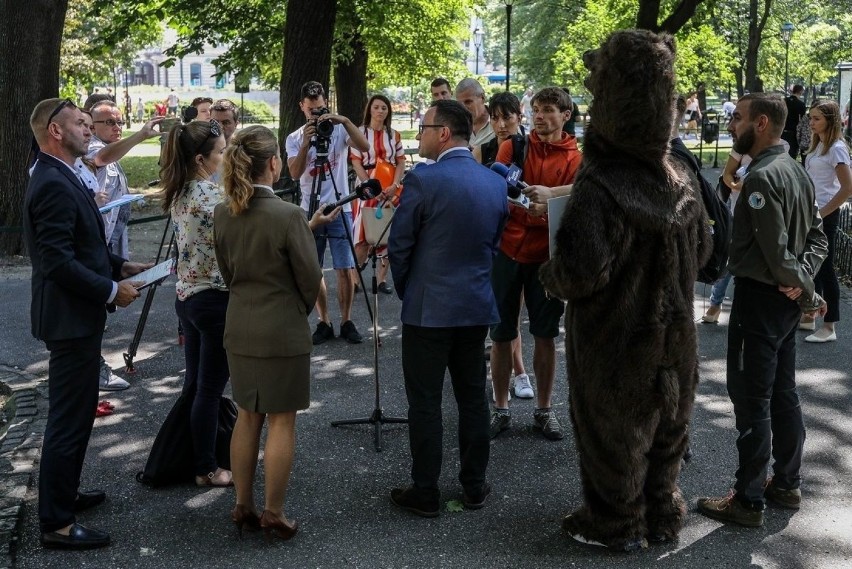 Kraków. Apel niedźwiedzia brunatnego na Plantach