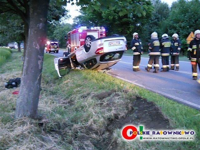Opole: Wypadek na drodze krajowej na odcinku Jełowa- Bierdzany