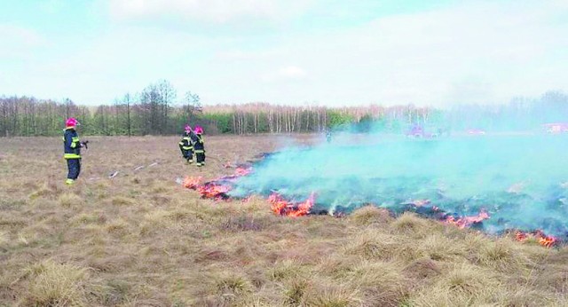 Wypalanie traw, czyli plaga podpaleń wiosną