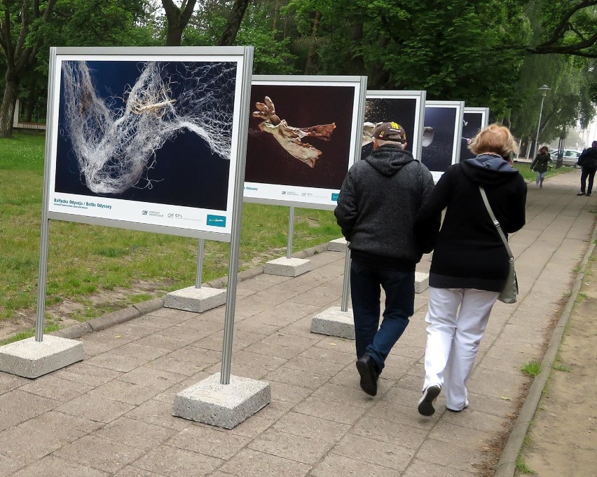 Plastikowa butelka obrośnięta skorupiakami, fragment...