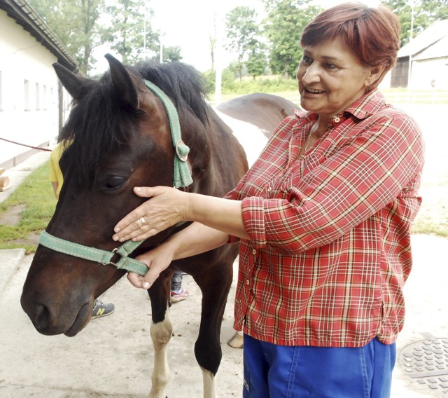 Danuta Kotaś opiekuje się końmi. Kiedyś paniecznie bała się tych zwierząt, a dziś nie wyobraża sobie bez nich życia. Miejsce pracy jest dla niej prawdziwym skrawkiem nieba na ziemi