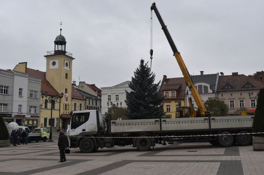 Chonka w Rybniku już na rynku! Drzewko z dzielnicy Niewadom na Boże Narodzenie 2018