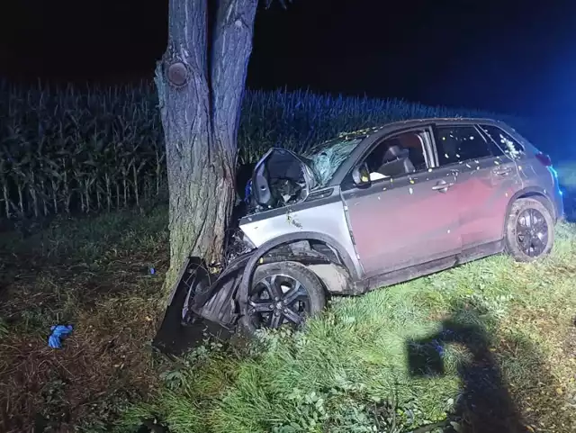 Śmiertelny wypadek w Gniechowicach, samochód uderzył w drzewo