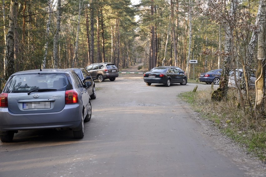 Turyści zastawiają szlabany zamykające dojazdy ratunkowe do lasów. Nadleśnictwo Elbląg reaguje.